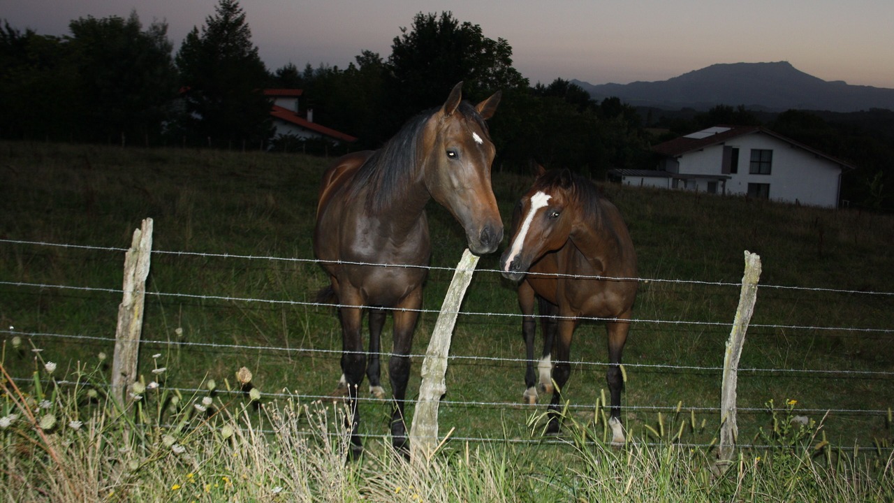Photo of Outdoor in Ahetze