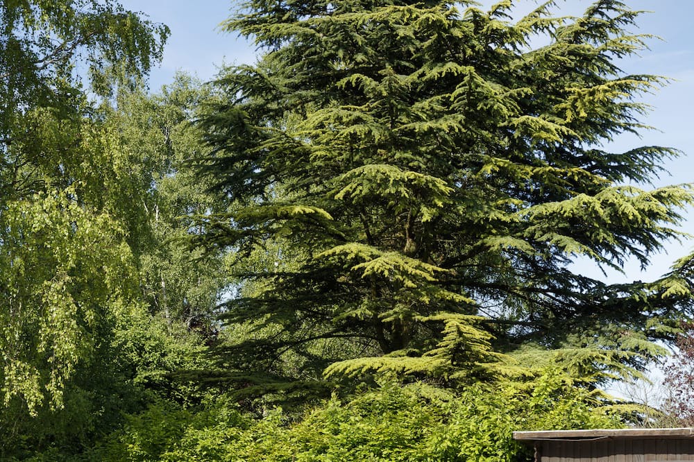 Photo of Outdoor in Saint-Martin-en-Biere