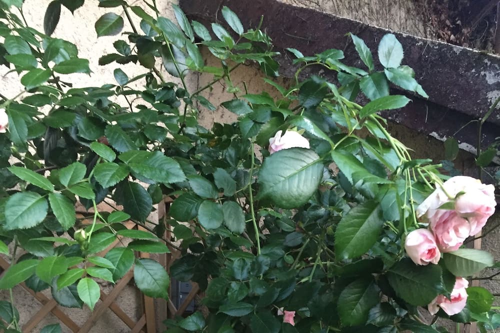 Photo of Outdoor in Havelu