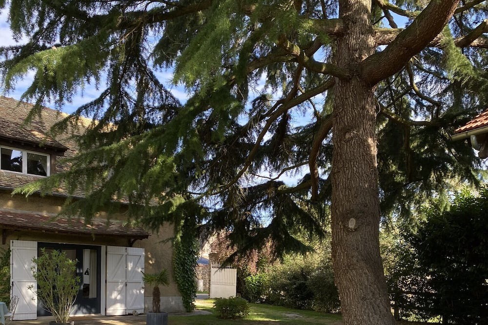 Photo of Outdoor in Havelu