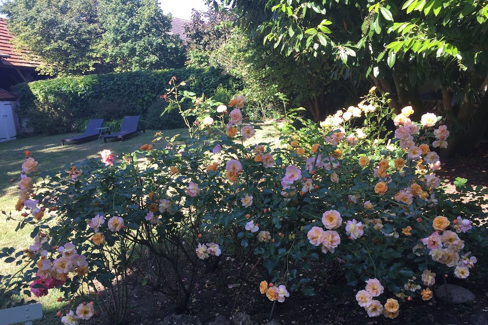 Photo of Outdoor in Havelu