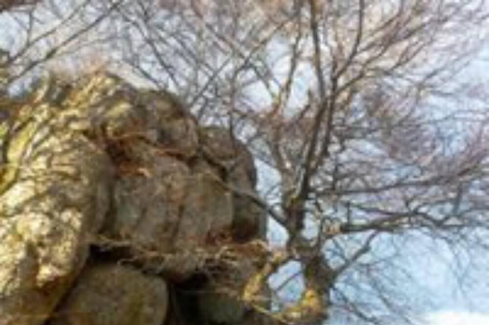 Photo of Others in Saint-Just