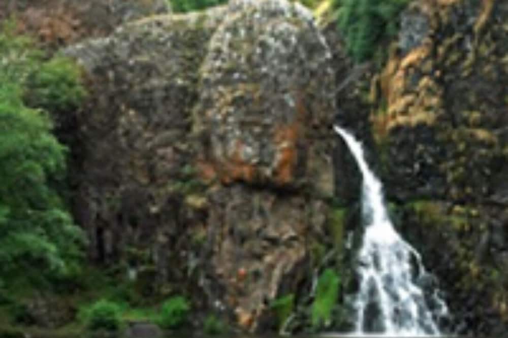 Photo of Outdoor in Saint-Just