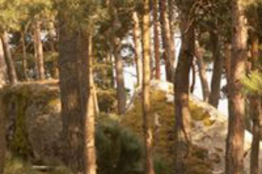 Photo of Outdoor in Saint-Just