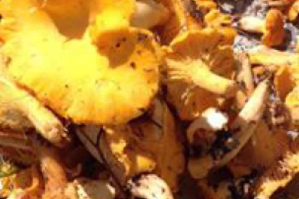 Photo of Others in Saint-Just