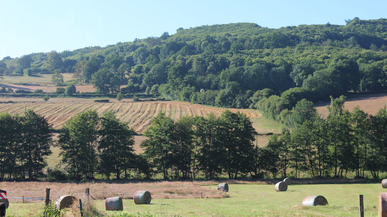 Photo of Outdoor in Rilhac-Lastours
