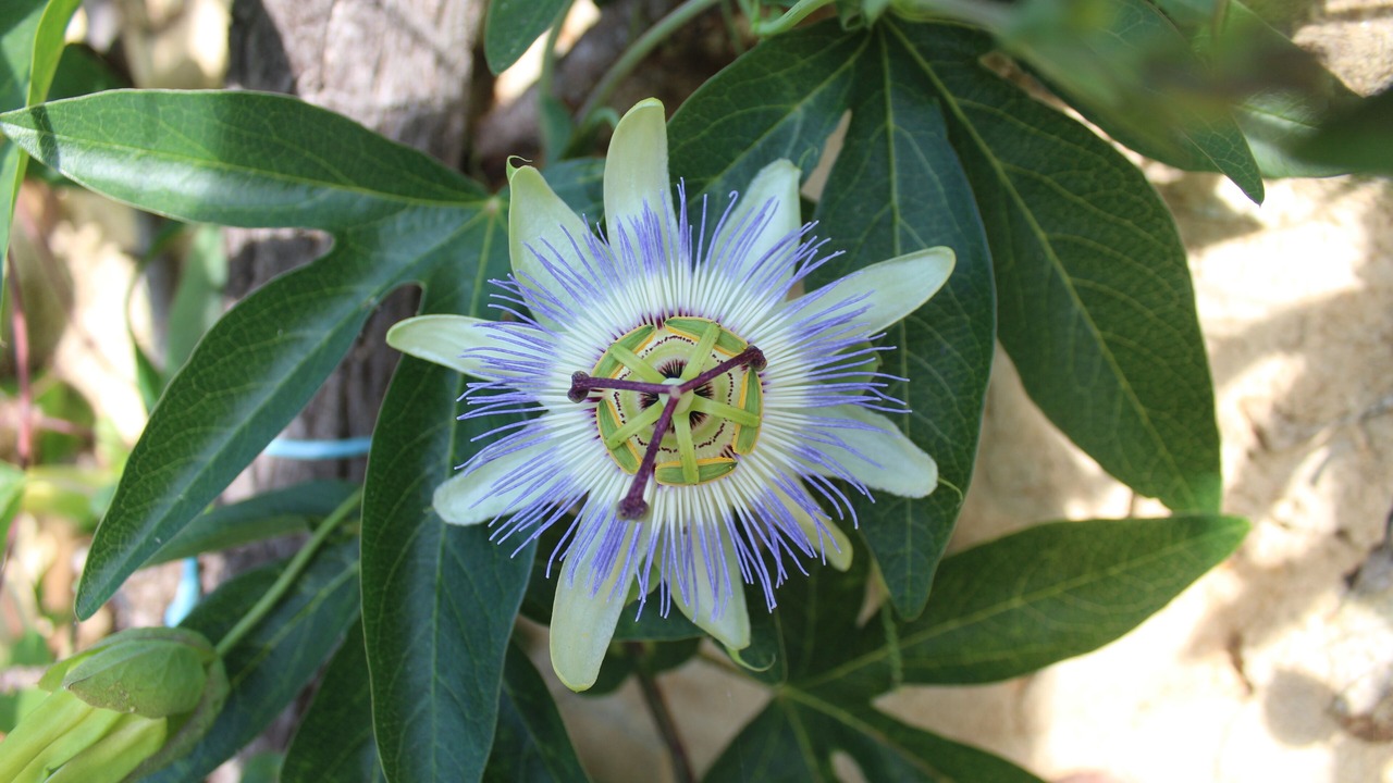 Photo of Outdoor in Rilhac-Lastours