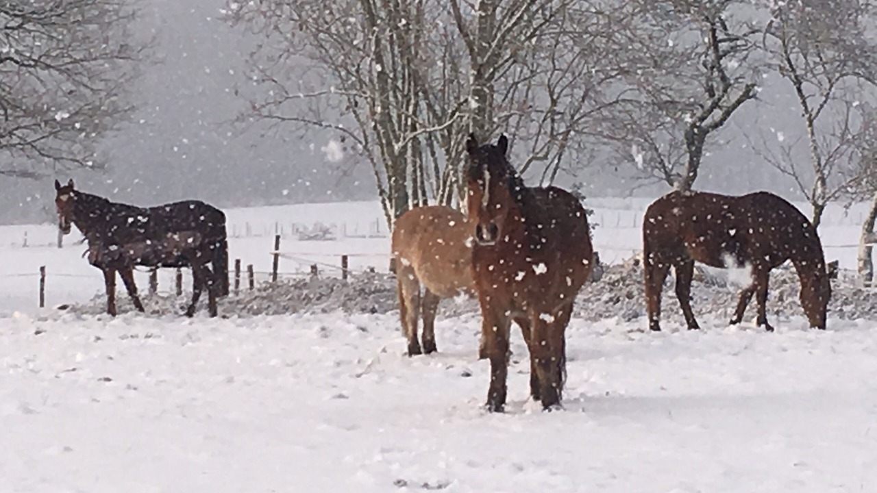 Photo of Others in Rilhac-Lastours