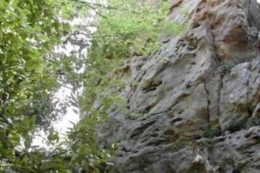 Photo of Outdoor in La Capelle-et-Masmolene