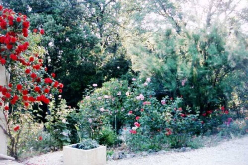 Photo of Outdoor in La Capelle-et-Masmolene