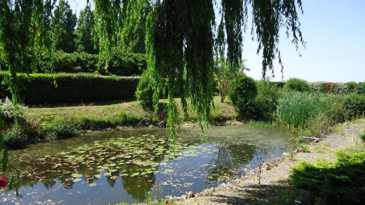 Photo of Outdoor in Saint-Denis-du-Maine