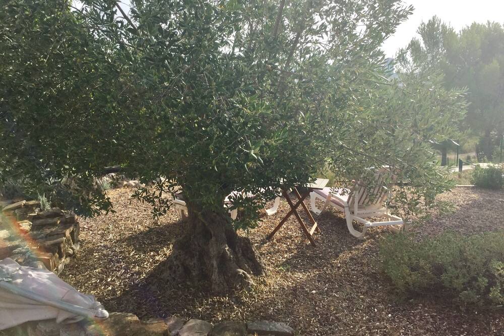 Photo of Outdoor in Juvignac