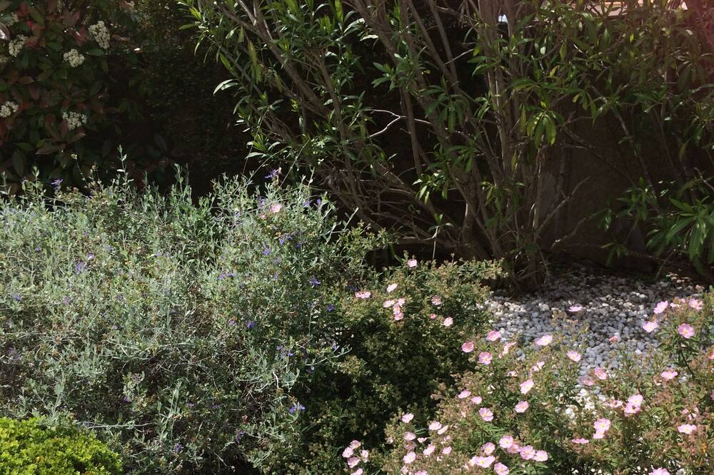 Photo of Outdoor in Juvignac
