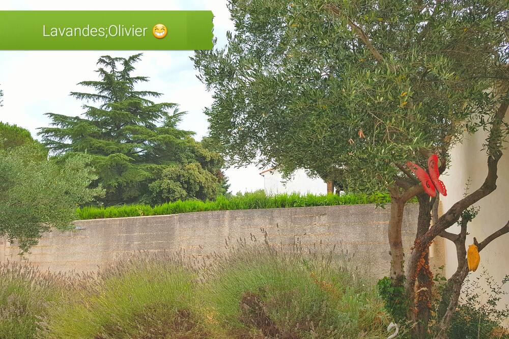 Photo of Outdoor in Uchaud