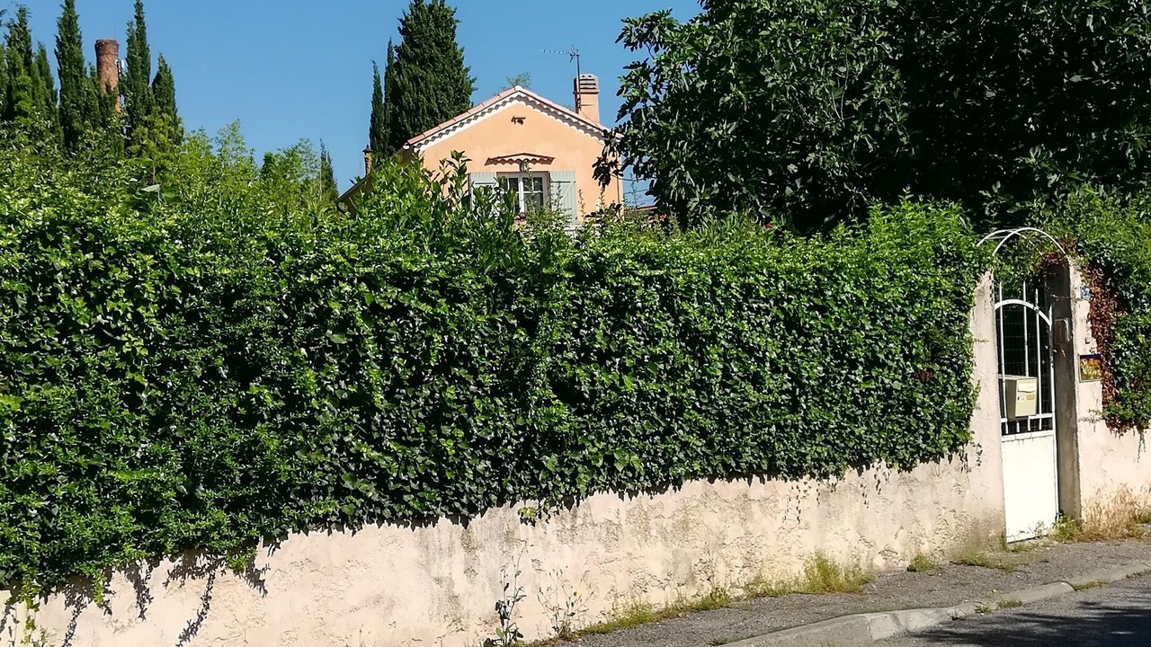 Photo of Outdoor in Brignoles