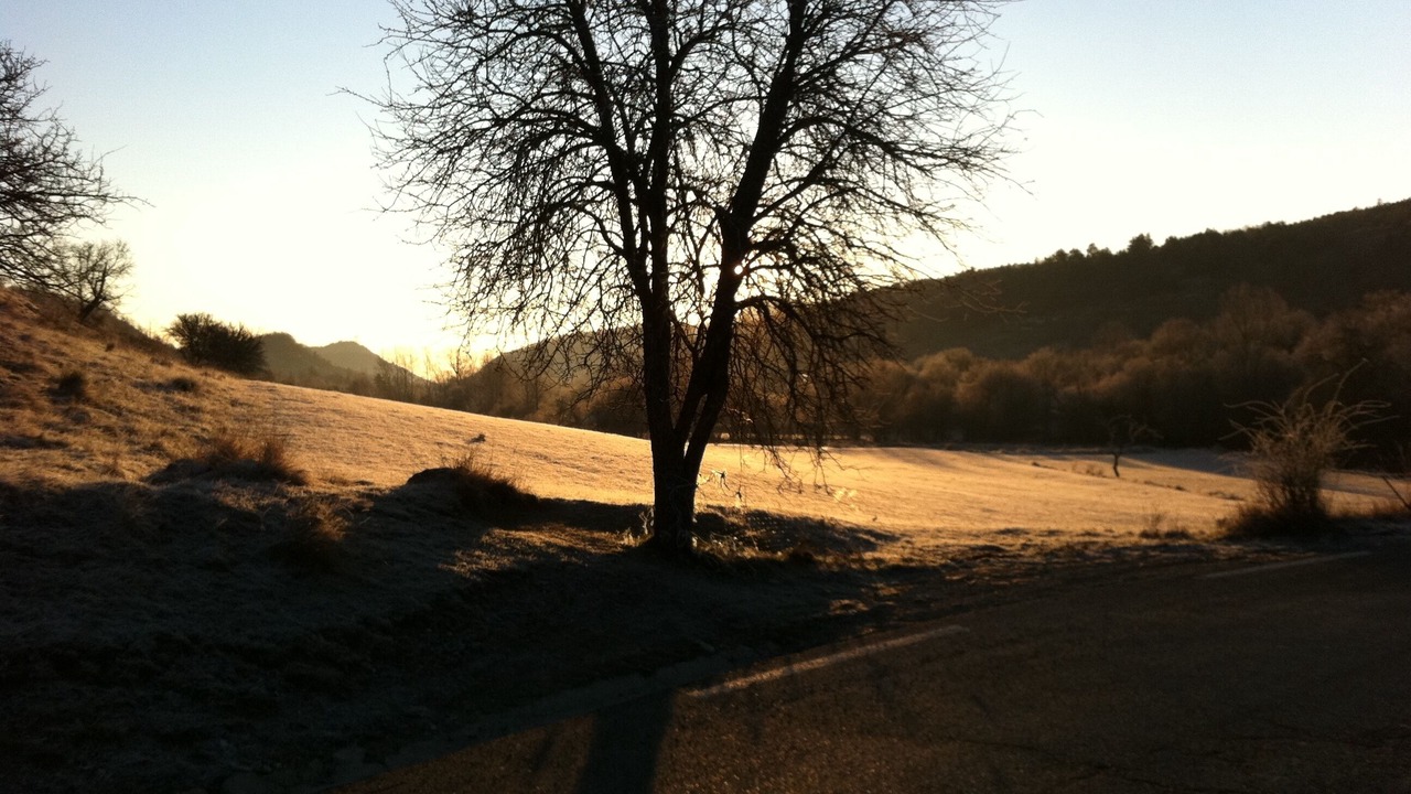 Photo of Outdoor in Coursegoules