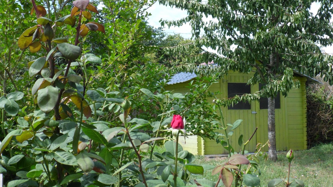 Photo of Outdoor in Beaumont-en-Veron