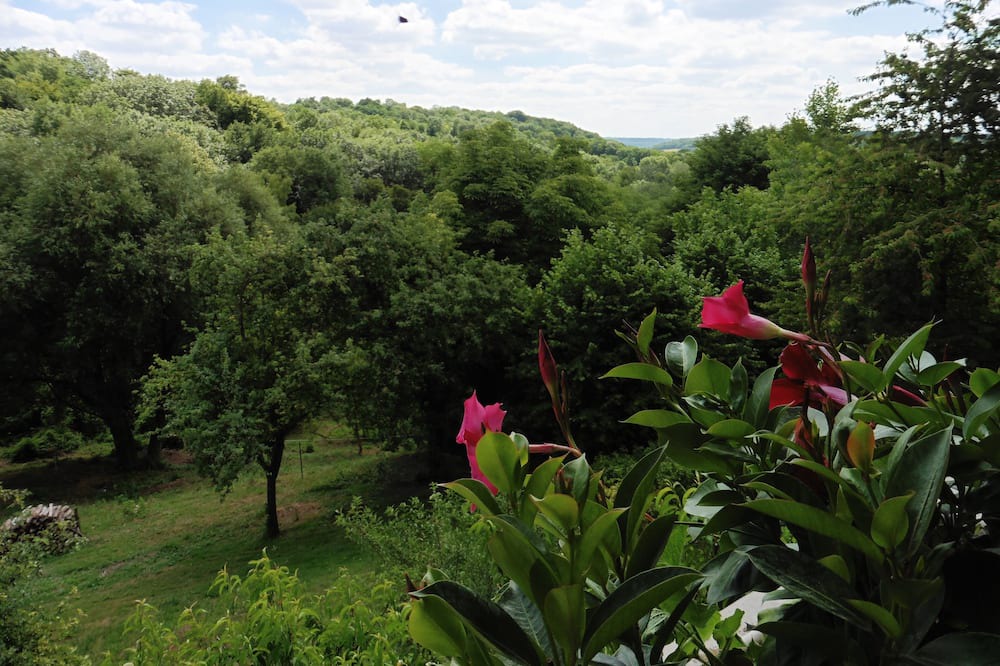 Photo of Outdoor in Chivres-Val