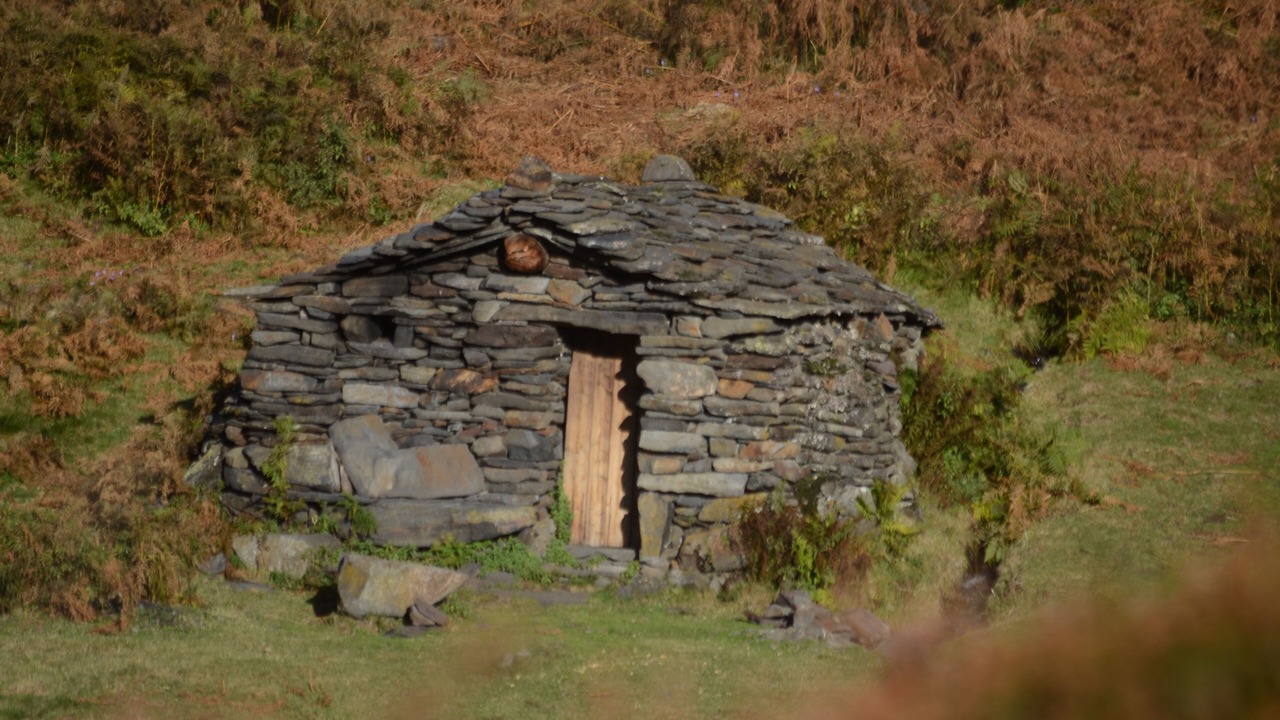 Photo of Outdoor in Campan