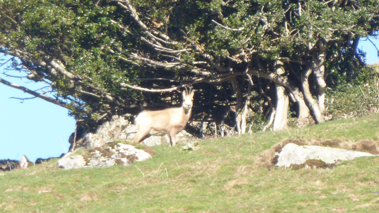 Photo of Outdoor in Campan