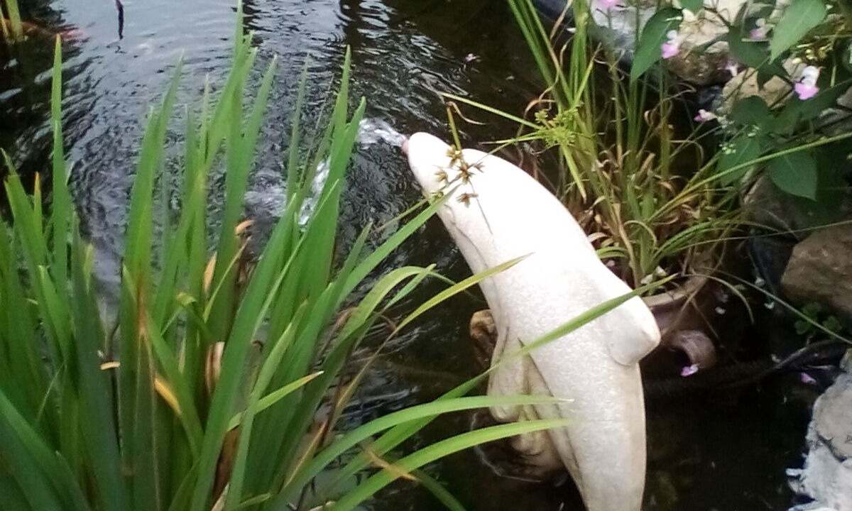 Photo of Outdoor in Verniolle