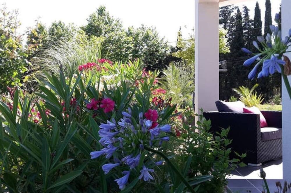 Photo of Outdoor in Lasserre-de-Prouille