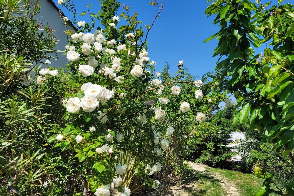 Photo of Outdoor in Lasserre-de-Prouille