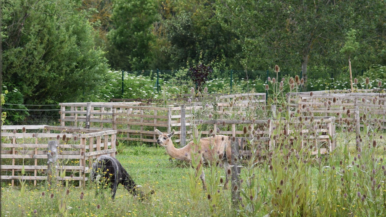 Photo of Outdoor in Chablis