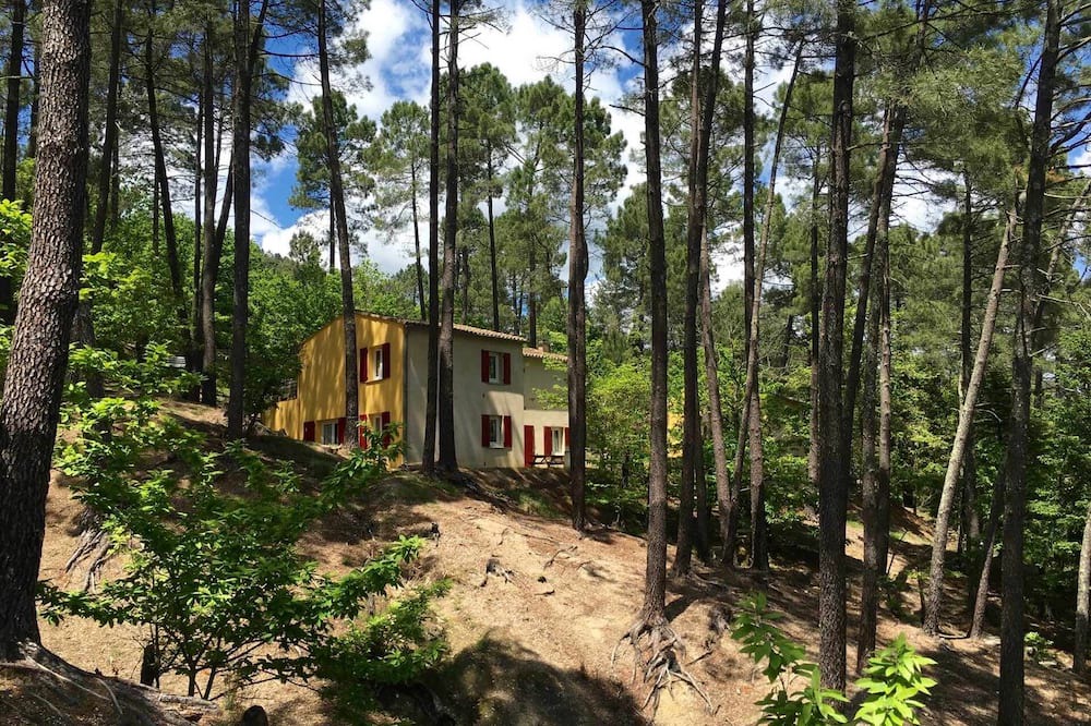 Photo of Others in Saint-Jean-du-Gard