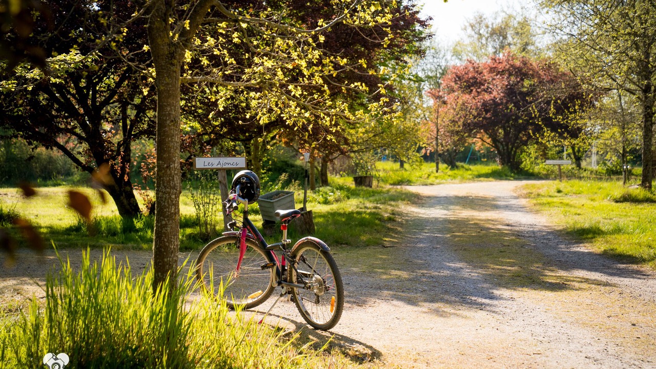 Photo of Outdoor in Gourge