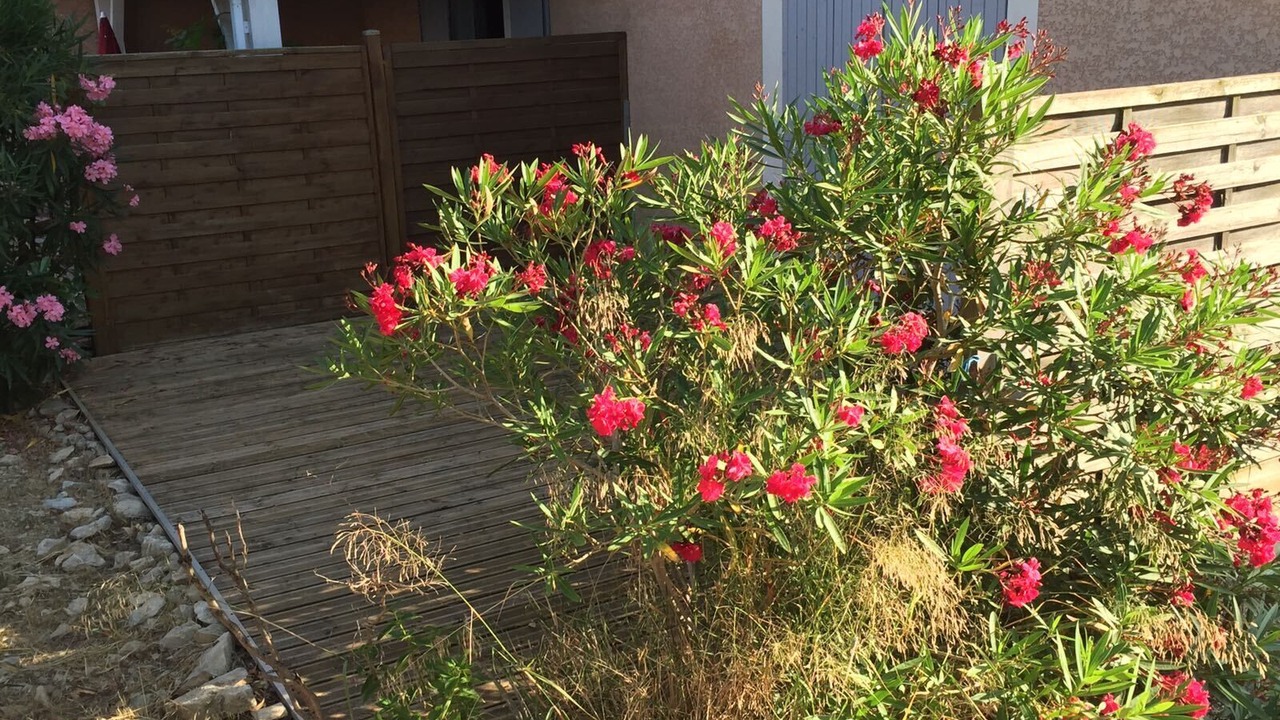 Photo of Outdoor in Aubais