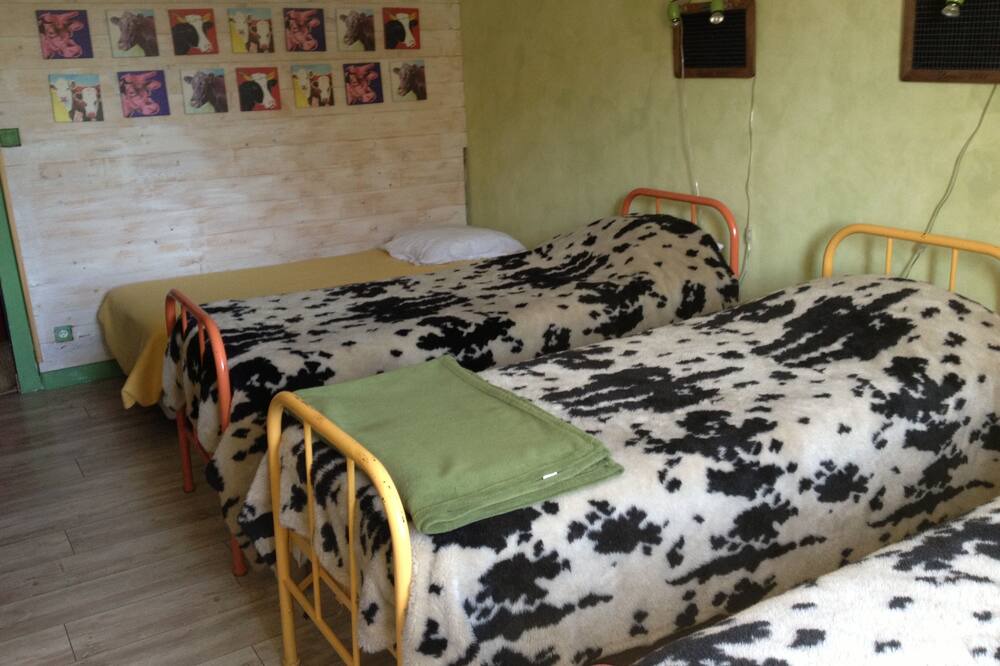 Photo of Bedroom in Brouvelieures