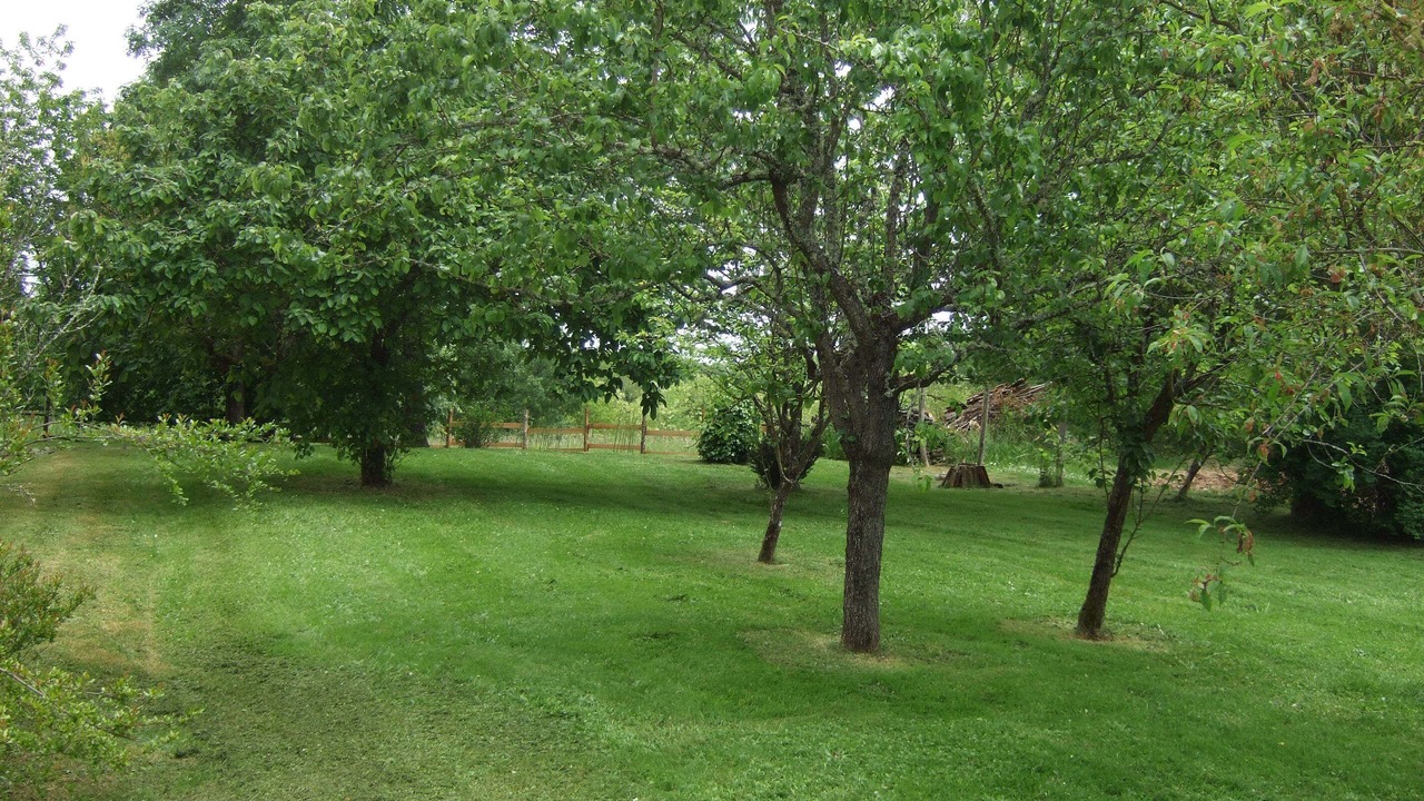 Photo of Outdoor in Saint-Marcel-du-Perigord