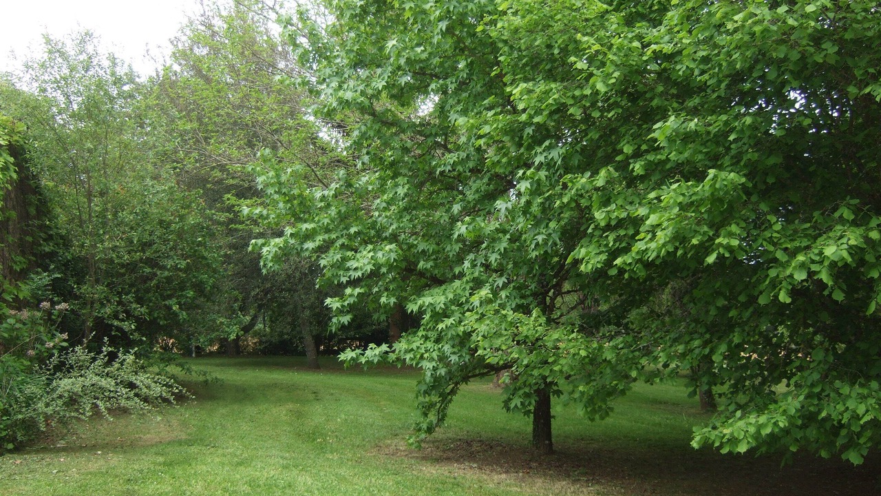 Photo of Outdoor in Saint-Marcel-du-Perigord