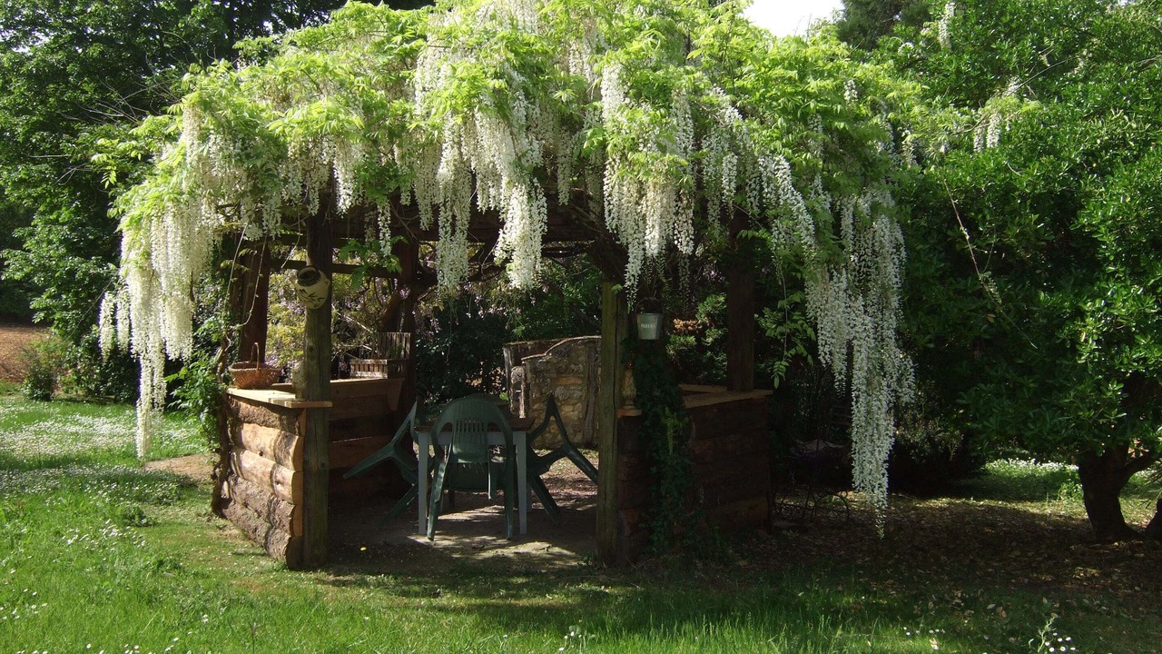 Photo of Outdoor in Saint-Marcel-du-Perigord