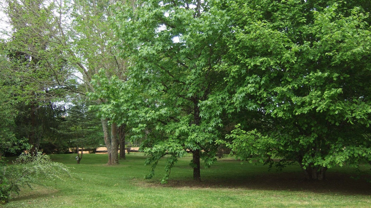 Photo of Outdoor in Saint-Marcel-du-Perigord