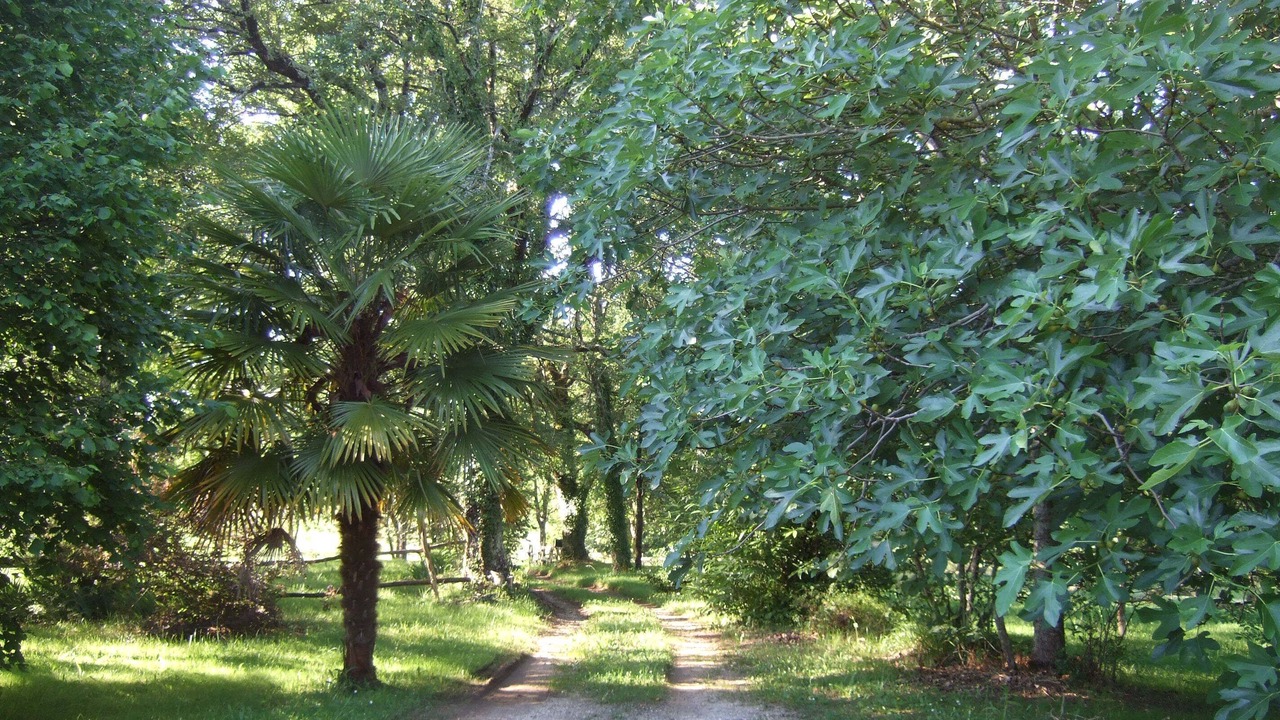 Photo of Outdoor in Saint-Marcel-du-Perigord