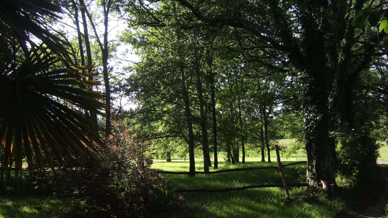 Photo of Outdoor in Saint-Marcel-du-Perigord