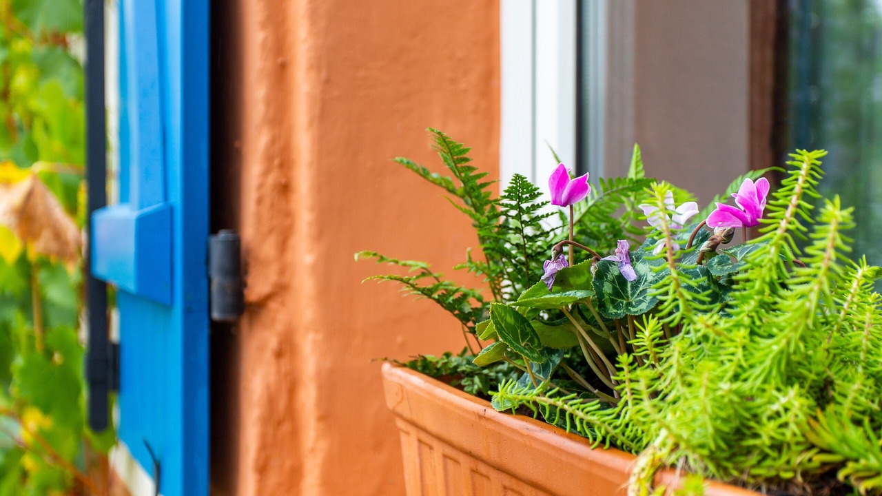 Photo of Others in Pouilly-sur-Meuse