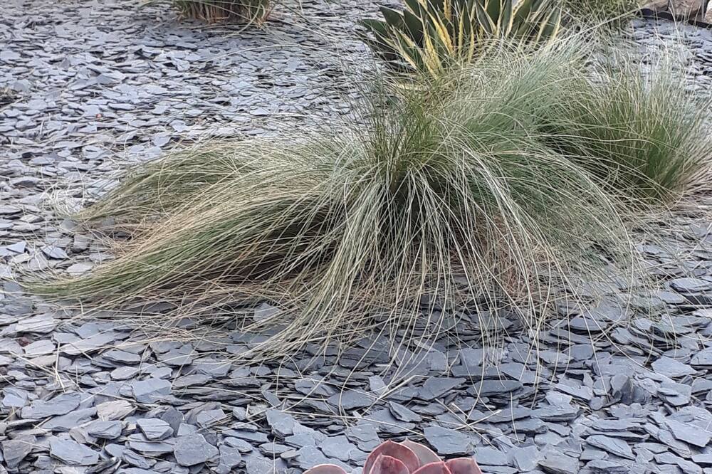 Photo of Outdoor in Lattes