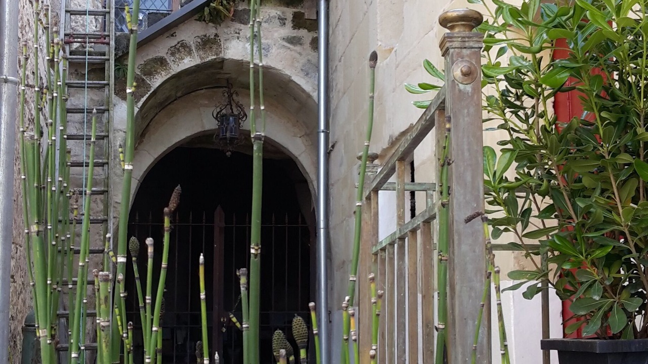 Photo of Outdoor in Saumur