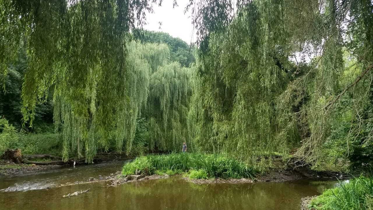 Photo of Outdoor in Menil-Hubert-sur-Orne