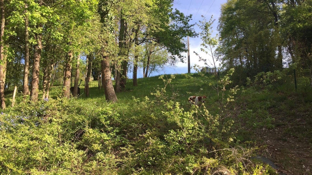 Photo of Outdoor in Poce-sur-Cisse