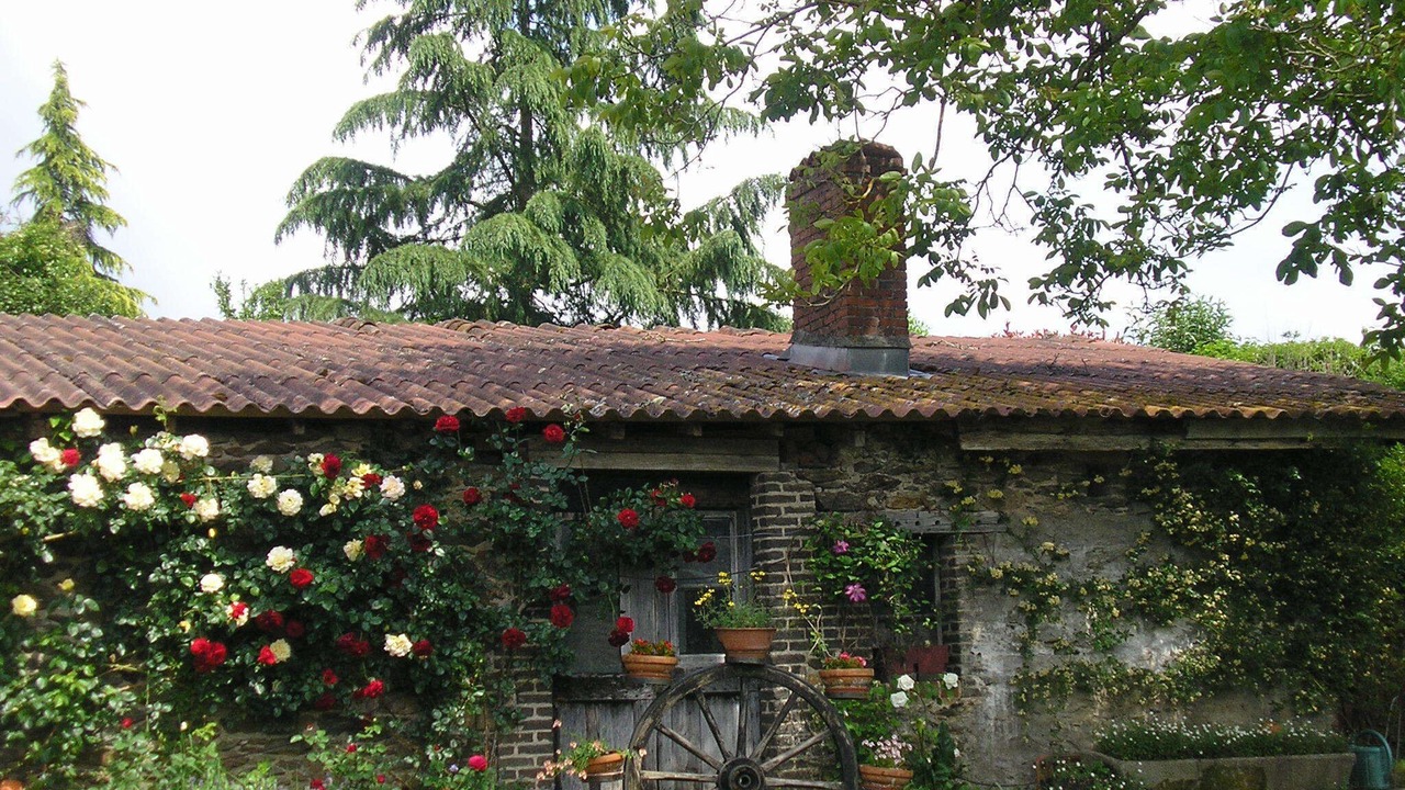 Photo of Outdoor in Flagnac