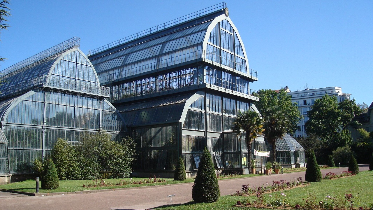 Photo of Outdoor in Victor Bach - Saint Louis