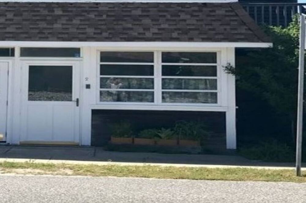 Photo of Outdoor in Cape May Point