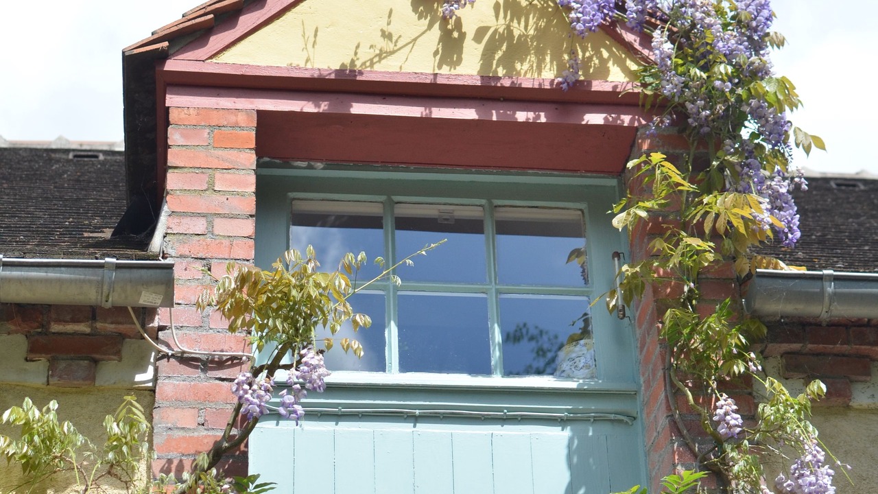 Photo of Outdoor in Presnoy