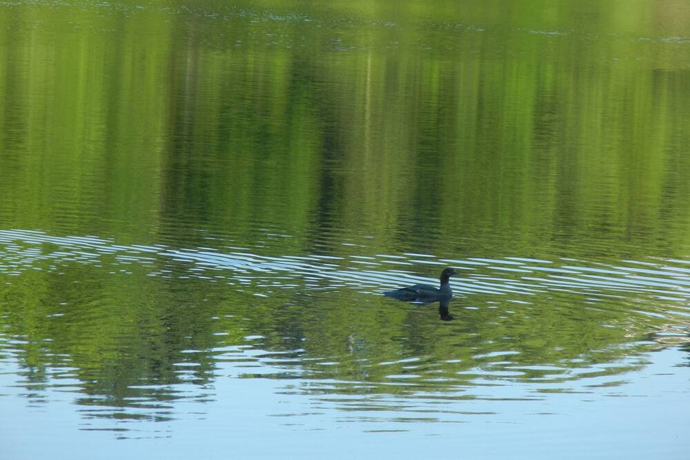 Photo of Outdoor in Rawdon