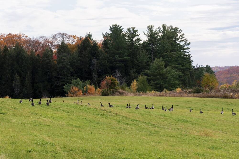 Photo of Others in Rawdon