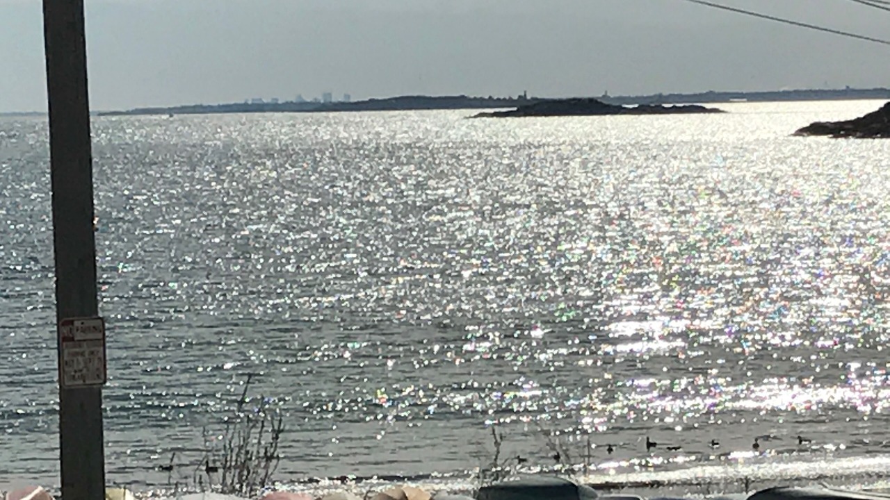 Photo of Others in Magnolia